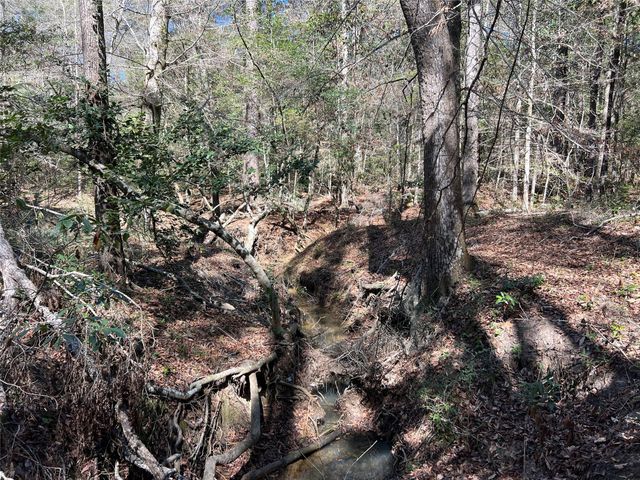 TBD E Fm 1988, Goodrich, TX 77335