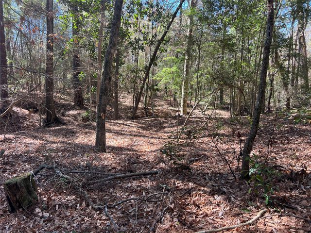 TBD E Fm 1988, Goodrich, TX 77335