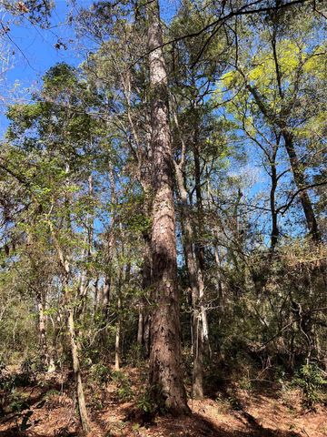 TBD E Fm 1988, Goodrich, TX 77335