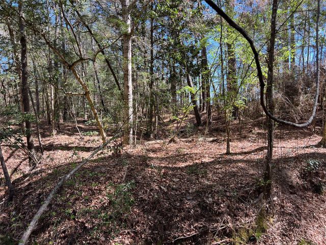 TBD E Fm 1988, Goodrich, TX 77335