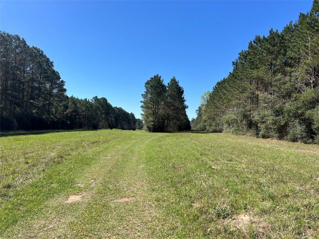 TBD E Fm 1988, Goodrich, TX 77335