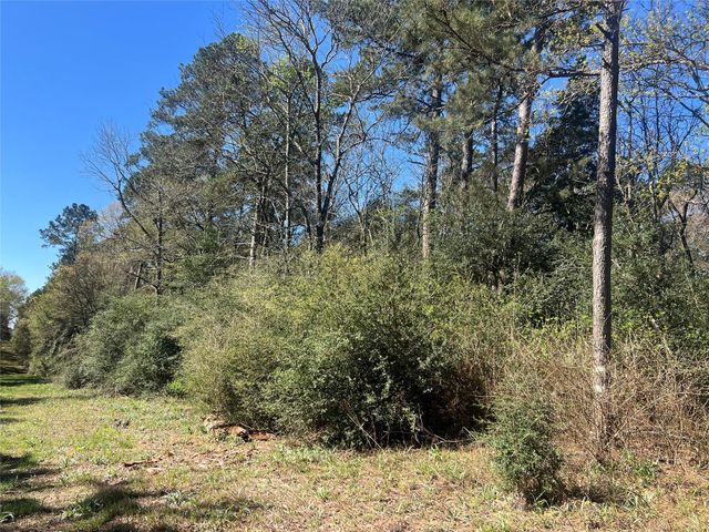 TBD E Fm 1988, Goodrich, TX 77335