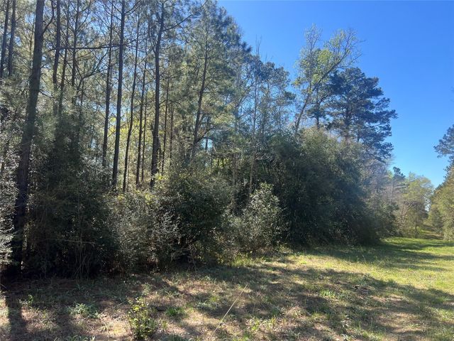 TBD E Fm 1988, Goodrich, TX 77335