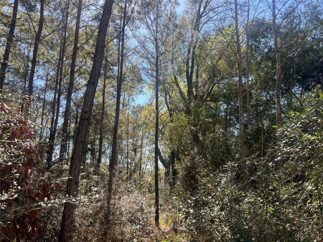 TBD E Fm 1988, Goodrich, TX 77335