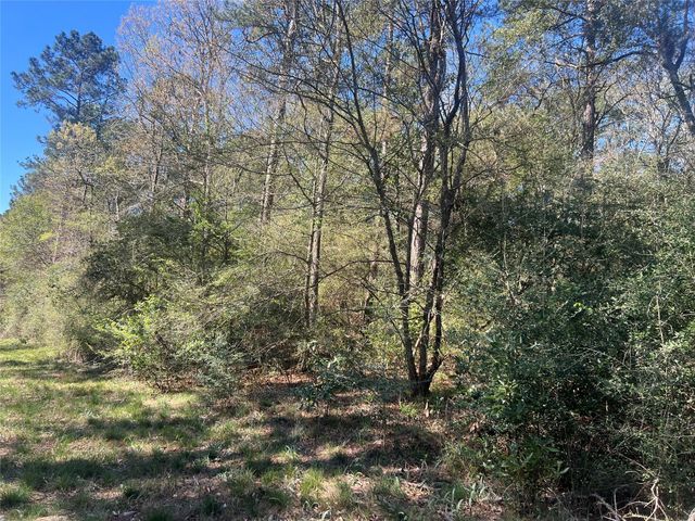 TBD E Fm 1988, Goodrich, TX 77335