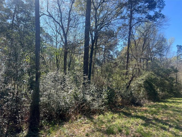 TBD E Fm 1988, Goodrich, TX 77335