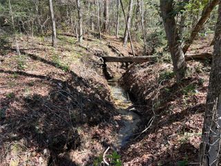 TBD E Fm 1988, Goodrich, TX 77335