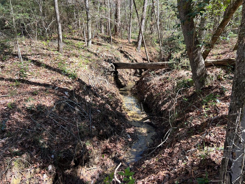 TBD E Fm 1988, Goodrich, TX 77335