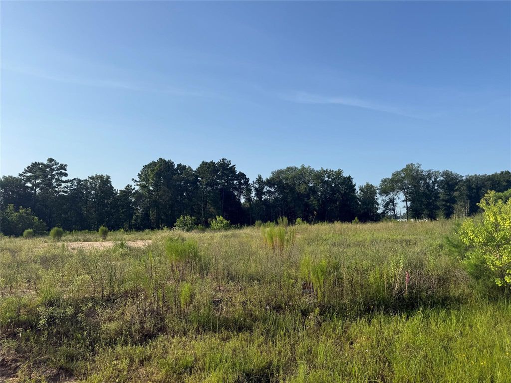 2212 & 2216 Road 5913, Cleveland, TX 77327