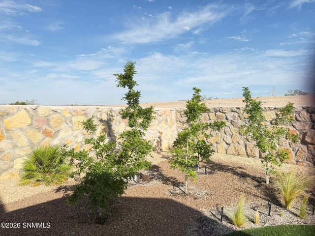 4913 Arabela Drive, Las Cruces, NM 88012