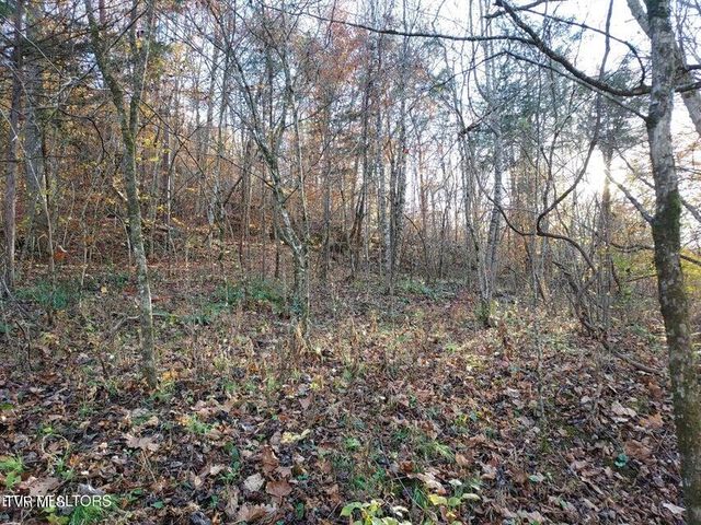 Tbd Bullen Valley Road, Thorn Hill, TN 37881