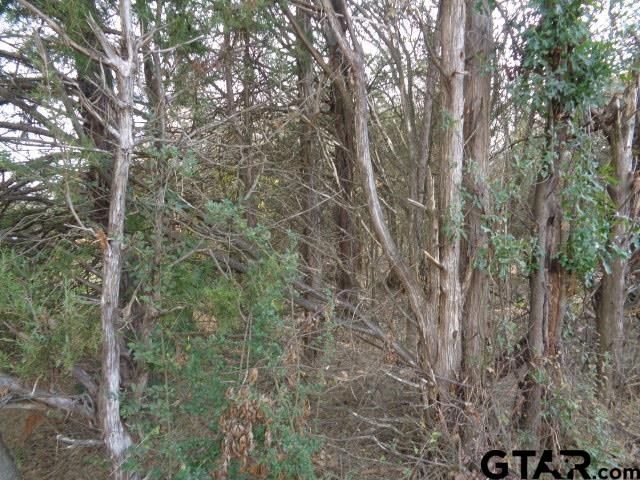 TBD CR 4870, Winnsboro, TX 75494
