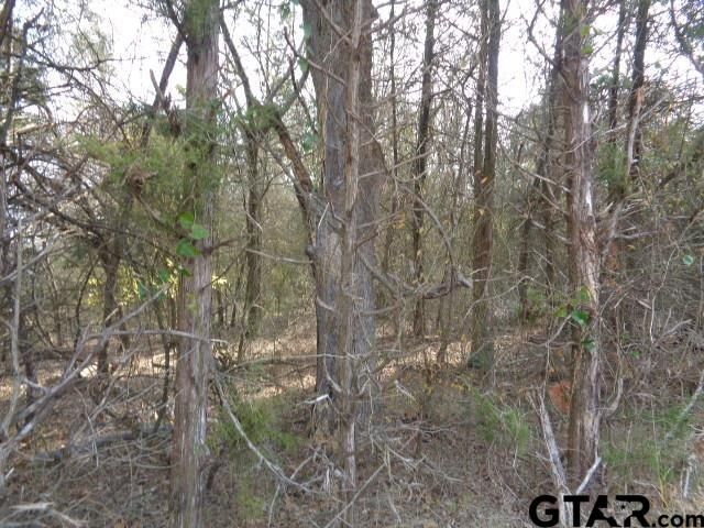 TBD CR 4870, Winnsboro, TX 75494