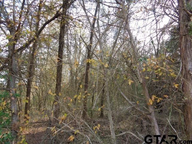 TBD CR 4870, Winnsboro, TX 75494