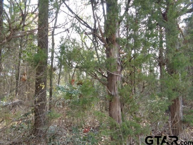 TBD CR 4870, Winnsboro, TX 75494