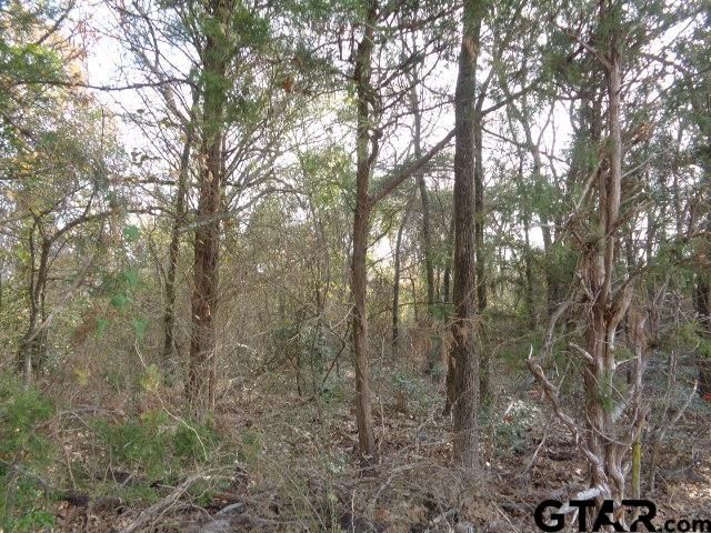 TBD CR 4870, Winnsboro, TX 75494