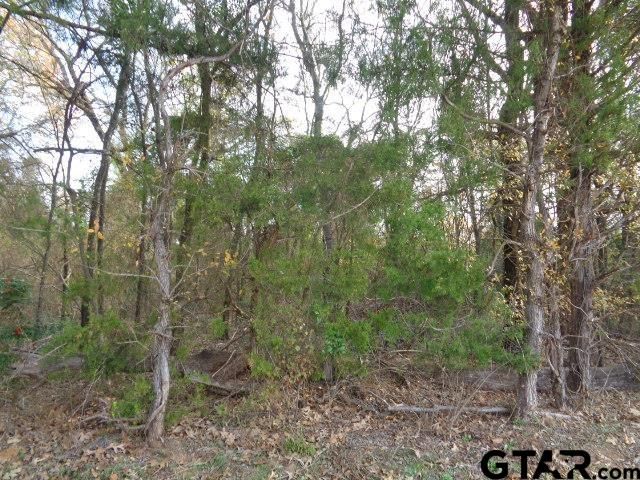 TBD CR 4870, Winnsboro, TX 75494