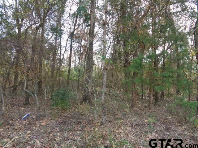 TBD CR 4870, Winnsboro, TX 75494