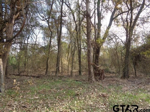 TBD CR 4870, Winnsboro, TX 75494