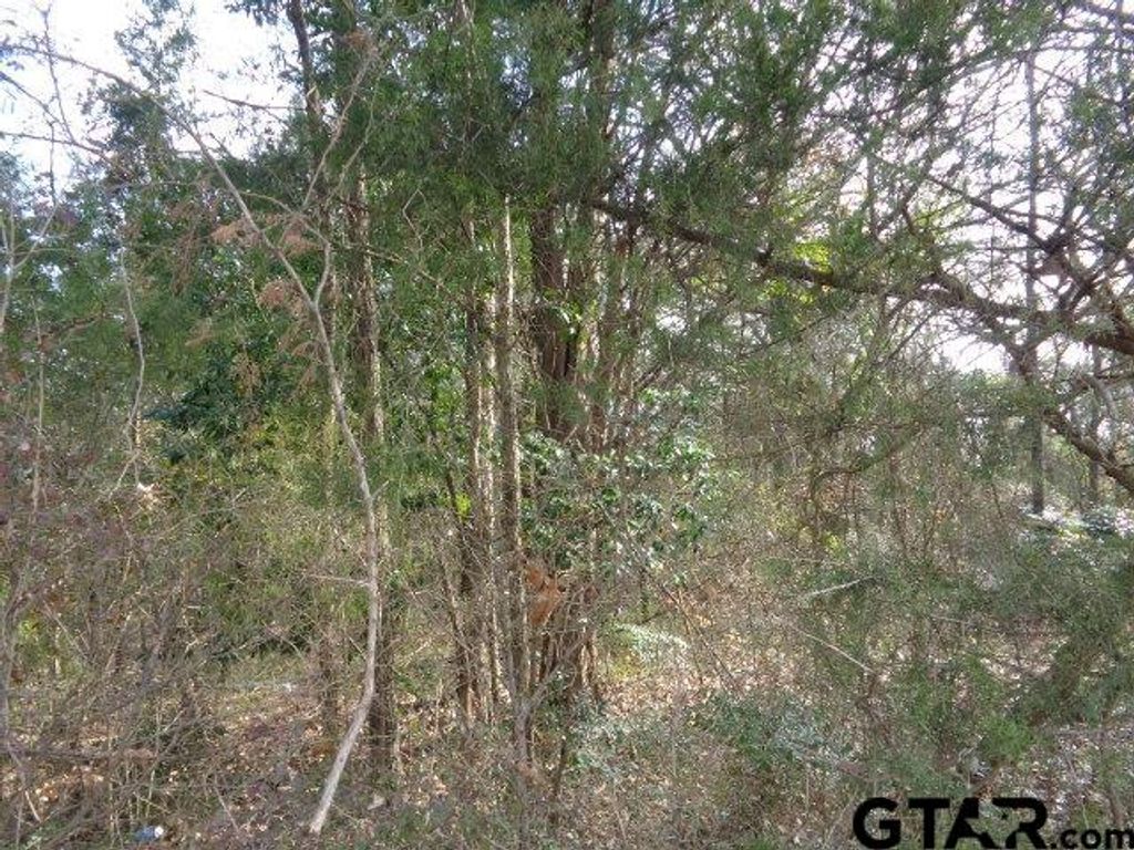 TBD CR 4870, Winnsboro, TX 75494