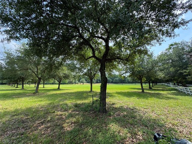 24077 Old Dobbin Plantersvil Road, Montgomery, TX 77316