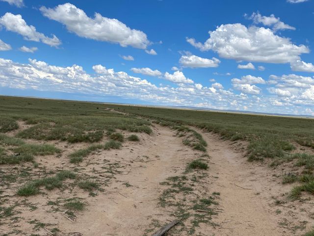 E Howell Road, Estancia, NM 87016