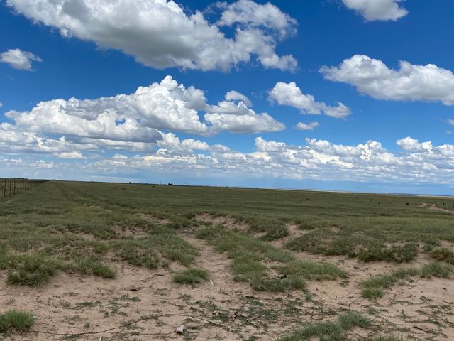 E Howell Road, Estancia, NM 87016