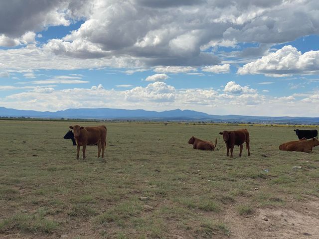 E Howell Road, Estancia, NM 87016