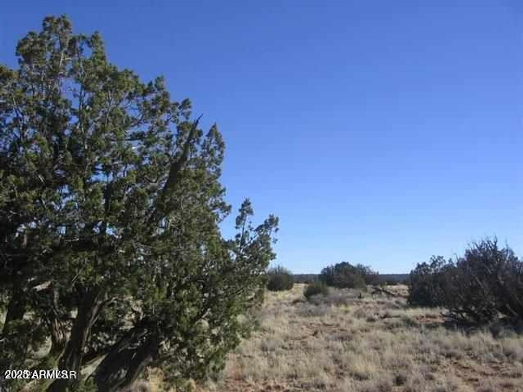 Sec 31 T15N,R16E:Nw4 Se4 -- 28, Heber, AZ 85928