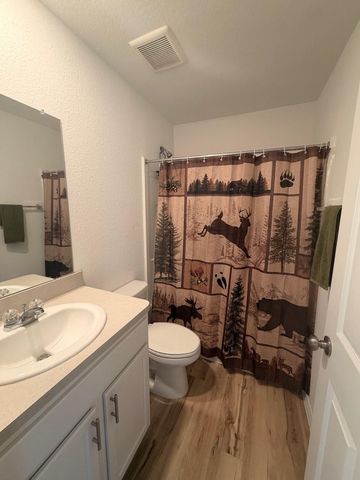 11110 N Lake Mist Lane, Willis, TX 77318