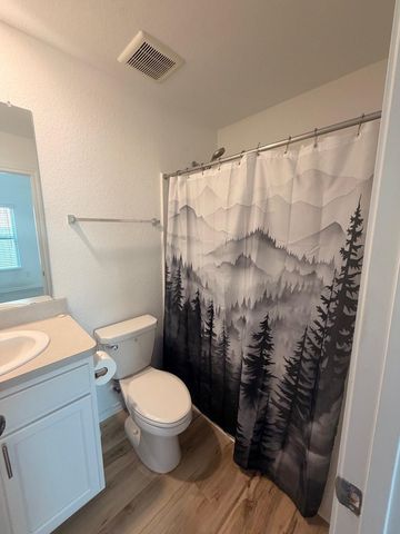 11110 N Lake Mist Lane, Willis, TX 77318