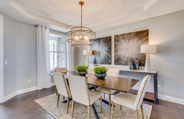 16215 Massimo Drive, Orland Park, IL 60467