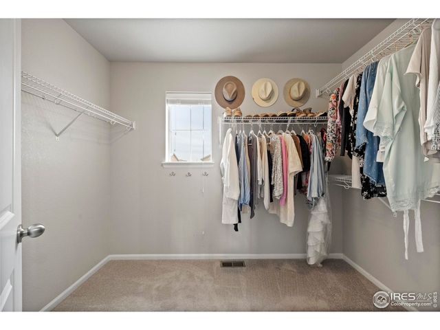 387 Seahorse Dr, Windsor, CO 80550