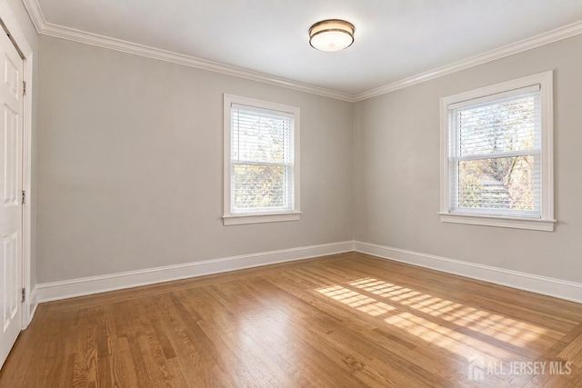 237 Johnson Avenue, Piscataway, NJ 08854