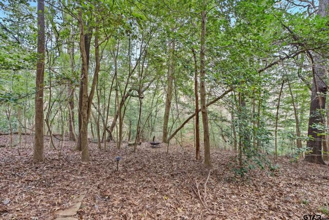 3814 Brighton Creek Circle, Tyler, TX 75707