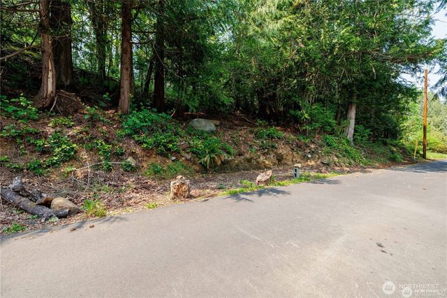 40 N Triton Head Drive, Lilliwaup, WA 98555