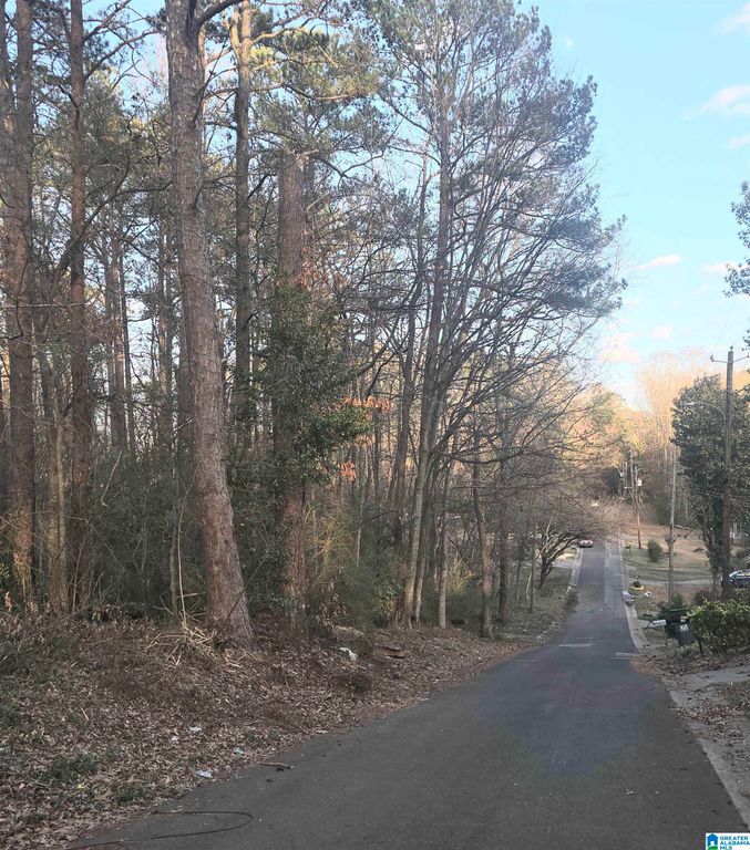 107 CHAPEL DRIVE, Bessemer, AL 35023
