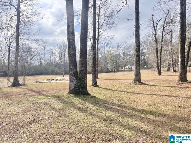 9595 HIGHWAY 17, Maylene, AL 35114