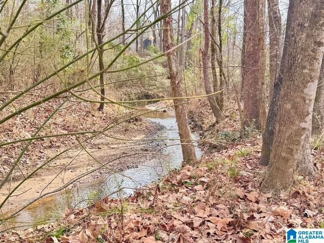 9595 HIGHWAY 17, Maylene, AL 35114