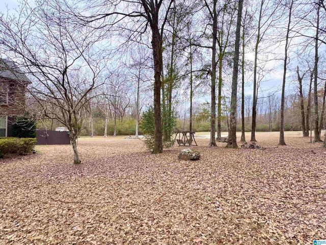 9595 HIGHWAY 17, Maylene, AL 35114