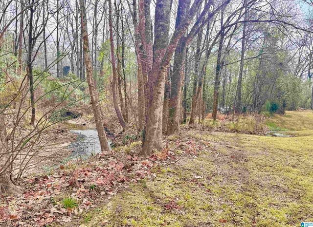 9595 HIGHWAY 17, Maylene, AL 35114