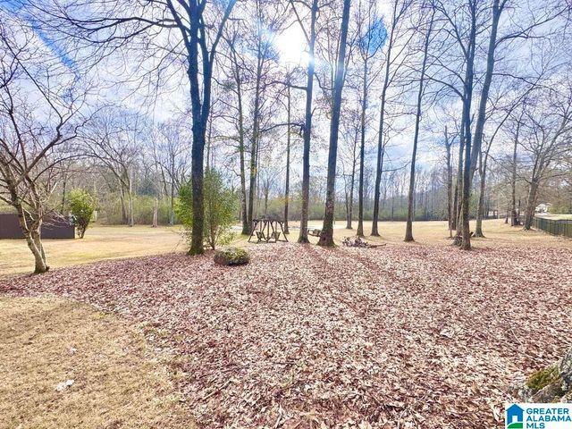 9595 HIGHWAY 17, Maylene, AL 35114