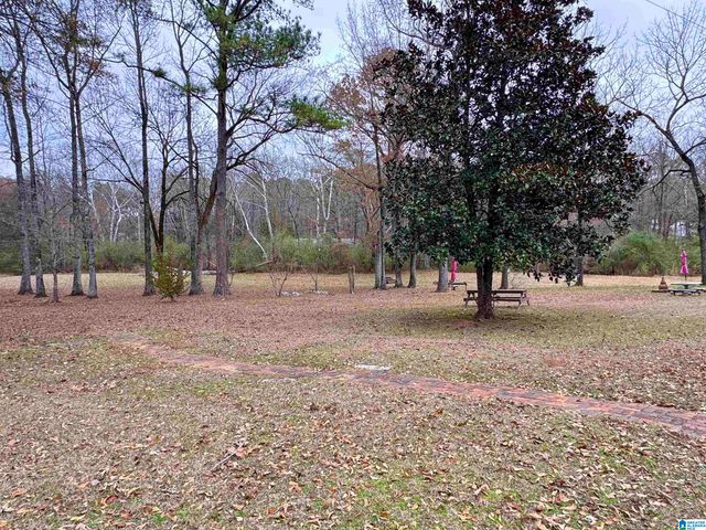 9595 HIGHWAY 17, Maylene, AL 35114