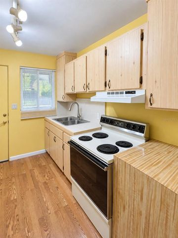 701 PALMER STREET, Orlando, FL 32801
