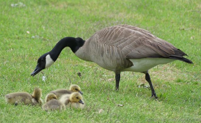 13623 S 18th Place, Bixby, OK 74008