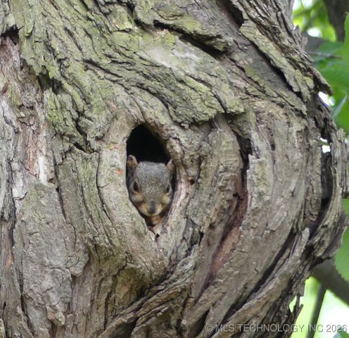 13623 S 18th Place, Bixby, OK 74008