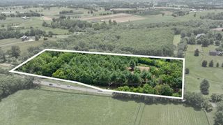 5365 Paris Road, Georgetown, KY 40324