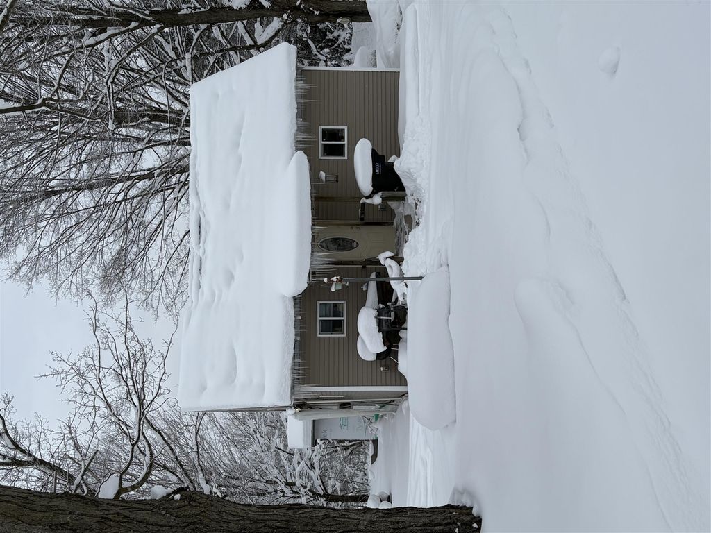 3885 E Loop Road, Hesperia, MI 49421