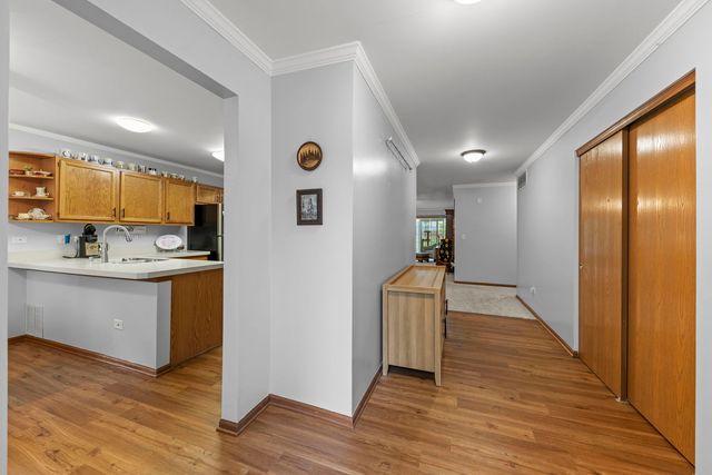 13424 Tall Pines Lane, Plainfield, IL 60544