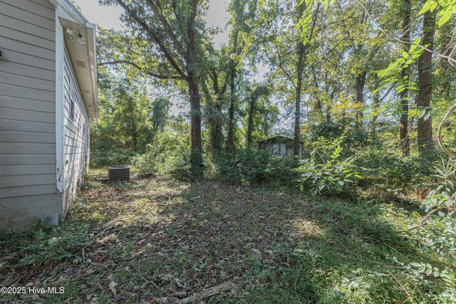 353 Potters Hill Road, Richlands, NC 28574